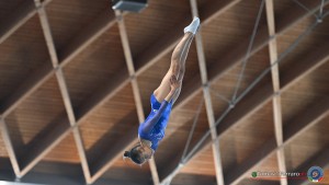 aere trampoline cup tra tum dmt ph by tomasi simone ferraro   fgi 